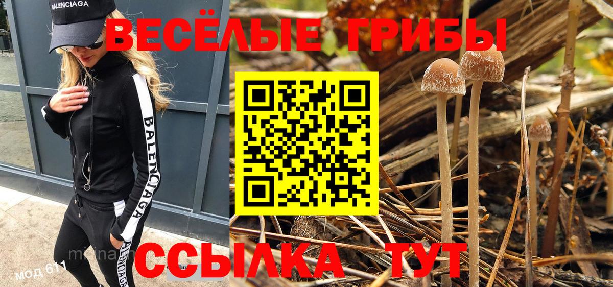 Галлюциногенные грибы GOLDEN TEACHER  Псилоцибиновые грибы Psilocybe  Бирск  Вход с VPN 